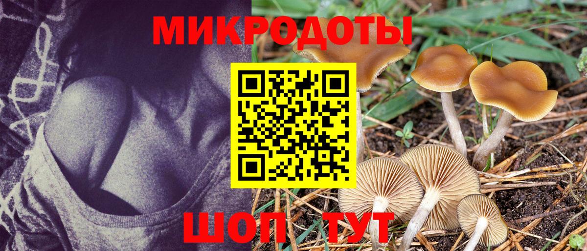 Галлюциногенные грибы мицелий  Вход с VPN  Елизово  Псилоцибиновые грибы Psilocybe 