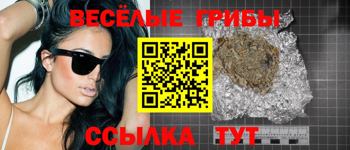 Псилоцибиновые грибы Cubensis Елизово